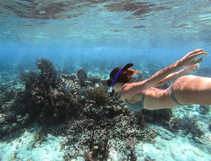 An attractive young woman in a bikini in snorkeling gear swims through the blue ocean.