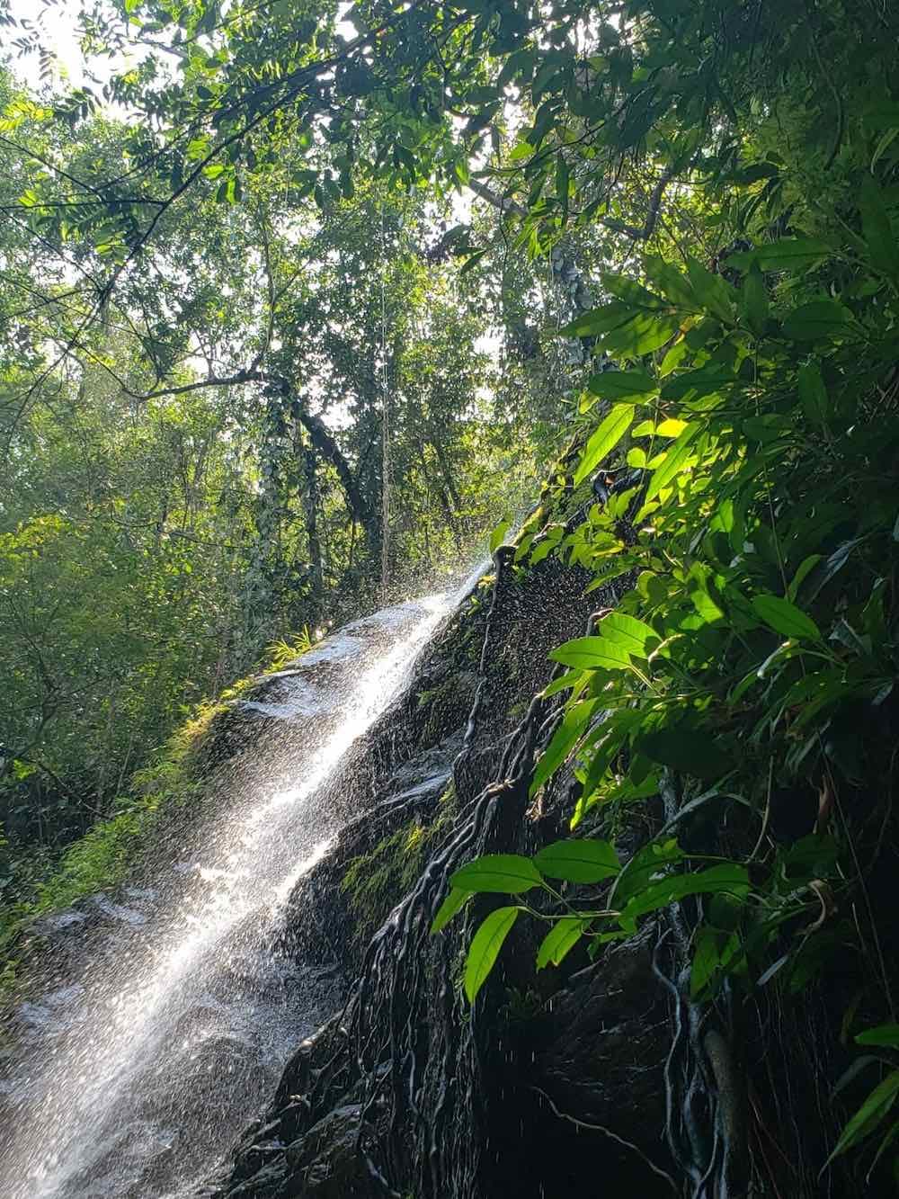 A waterfall cascades down a rocky cliff in a lush, green forest. Moss covers the rocks, and tree roots cling to the sides. Sunlight filters through the leaves, creating dappled patterns on the ground.