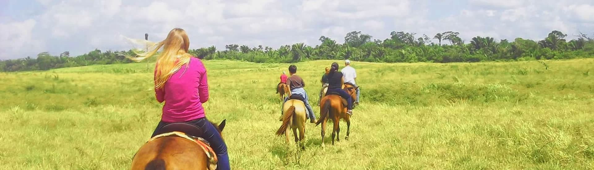 People on horseback ride through a field of grass towards a deep tree line in the distance.