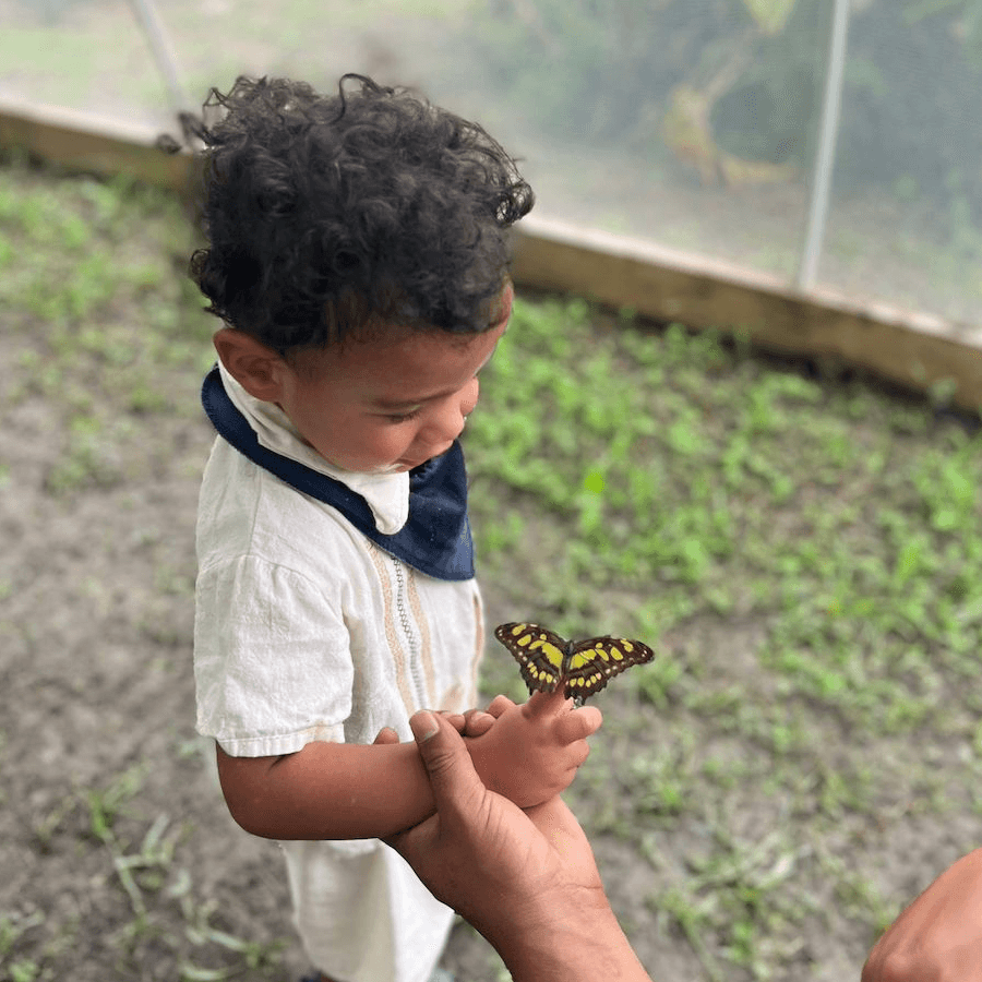 Curly-haired toddler gazes happily at a yellow butterfly resting on his hand.