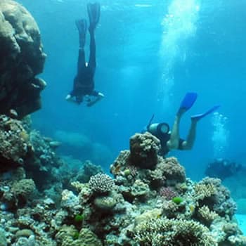 Two scuba divers are exploring a vibrant coral reef underwater. Sunlight filters down from the surface, illuminating the colorful coral and marine life.