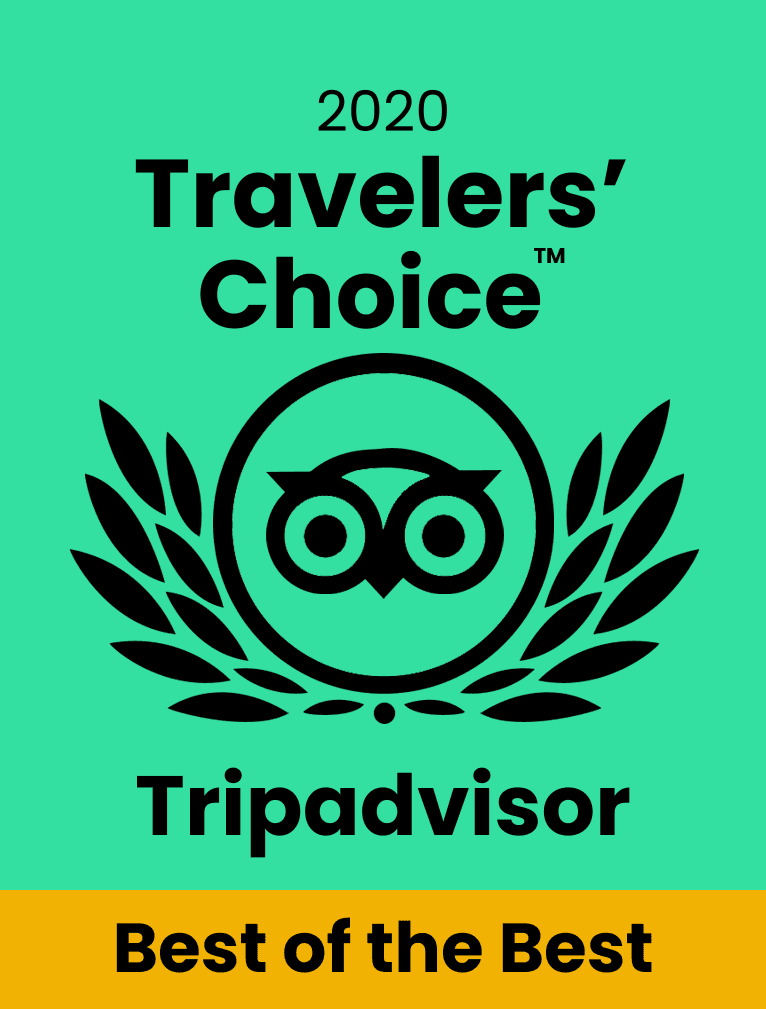 TripAdvisor award for 2020 Travelers' Choice