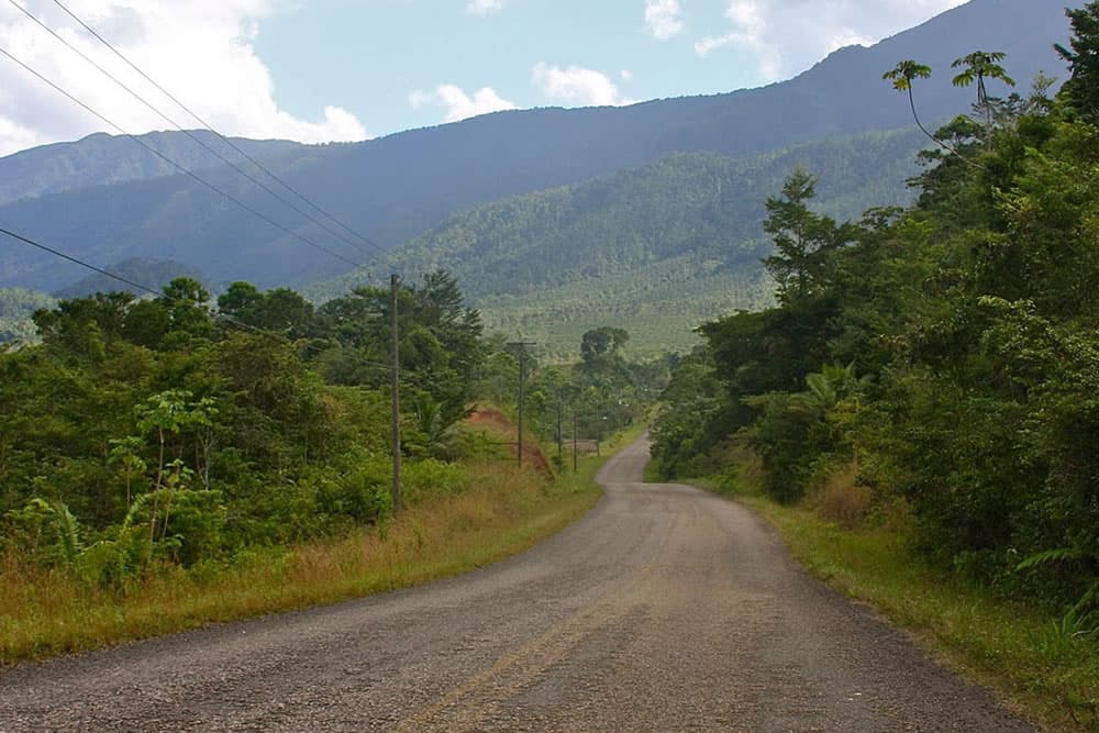 A winding dirt road leads through a lush green forest. Tall mountains rise in the distance, and power lines stretch across the sky.