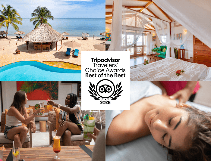 Collage showcasing a tropical resort, featuring beach views, a pool, dining experiences, and spa treatments, recognized by Tripadvisor as a 2025 Travelers' Choice Award winner.